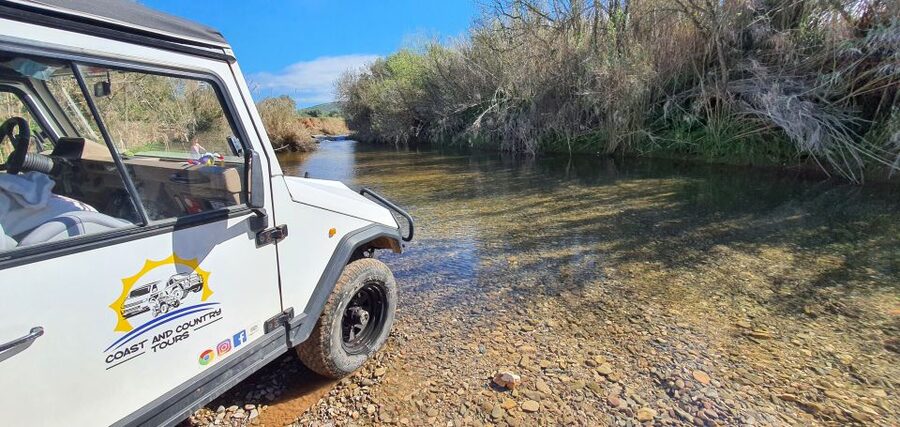 Albufeira: Safari Excursion in the Algarve Mountains - Quinta do Goji Farm Visit: Tea, Spirits, and Buying Local Without Pressure