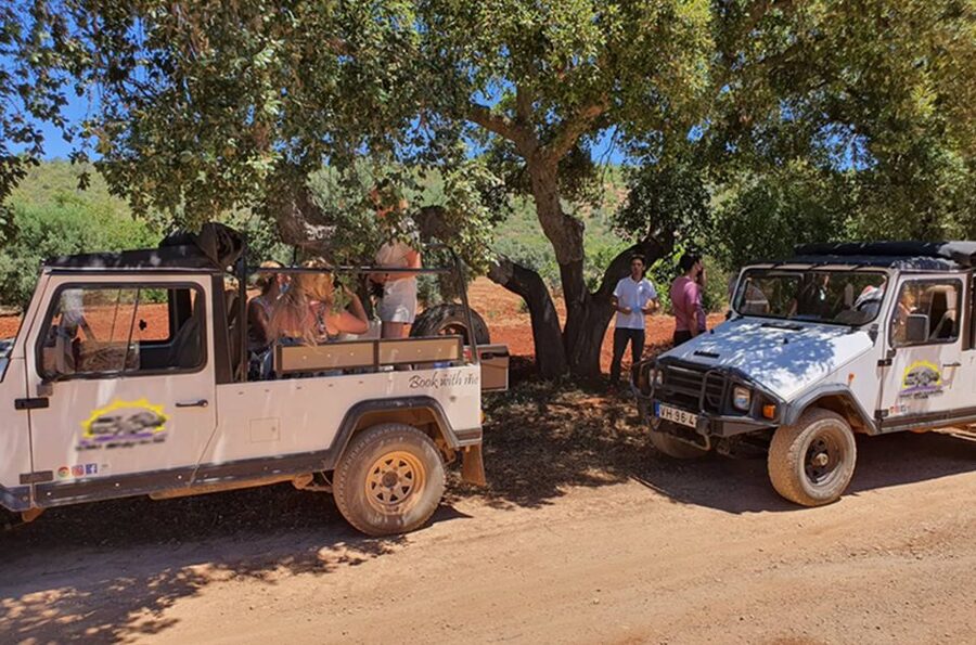 Albufeira: Safari Excursion in the Algarve Mountains - Fonte Grande de Alte Water Sources: When You Can Swim, and When You Should Just Cool Off