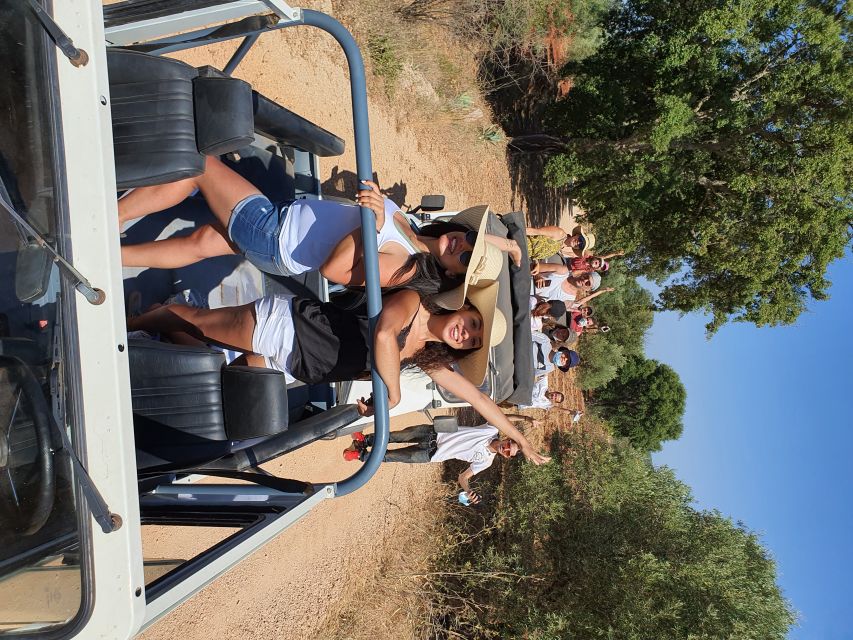 Albufeira: Safari Excursion in the Algarve Mountains - Comfort, Rules, and Small Practical Tips That Matter