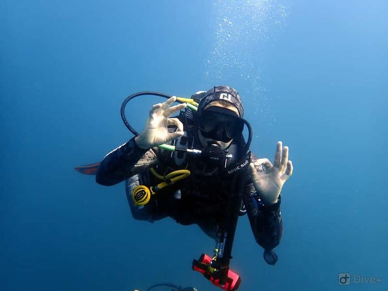 Albufeira: Scuba Diving Experience for Beginners - FAQ