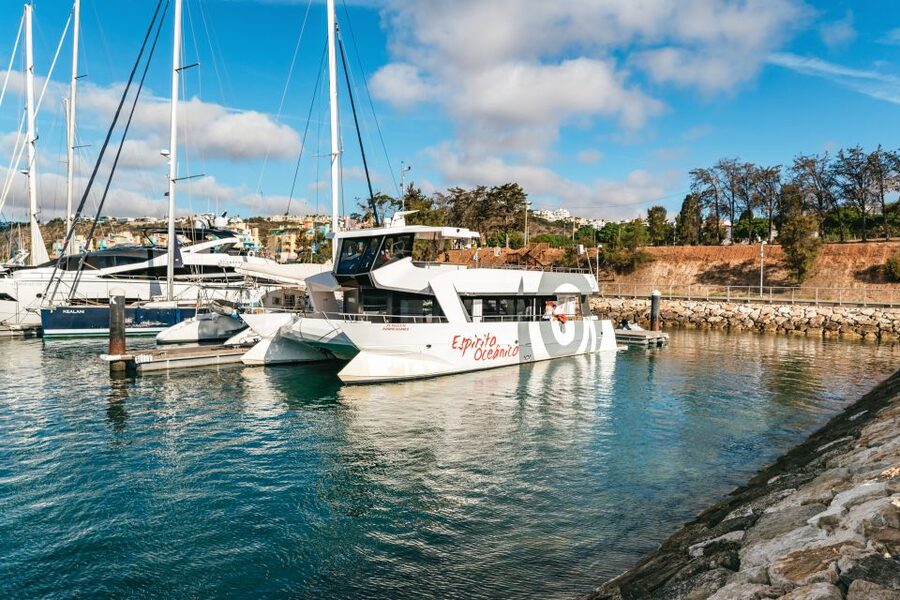 Albufeira: Sightseeing Cruise with Beach BBQ and Open Bar - The practical side: timing, meeting point, and what to plan for