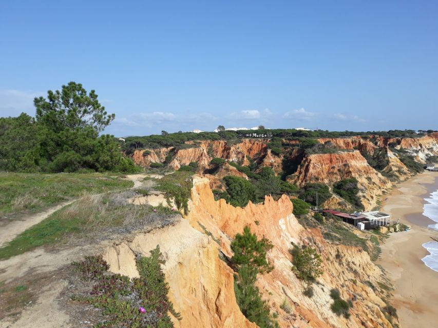 Albufeira: Tuk-tuk Sightseeing Tour - Olhos Dágua to Falesia Beach, the famous coastline you came for