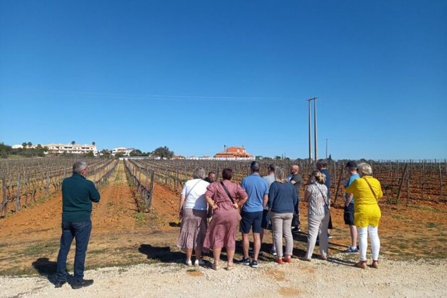 Albufeira/Vilamoura: Winery Tour with Wine Tasting and Tapas - Practical tips so you enjoy every minute