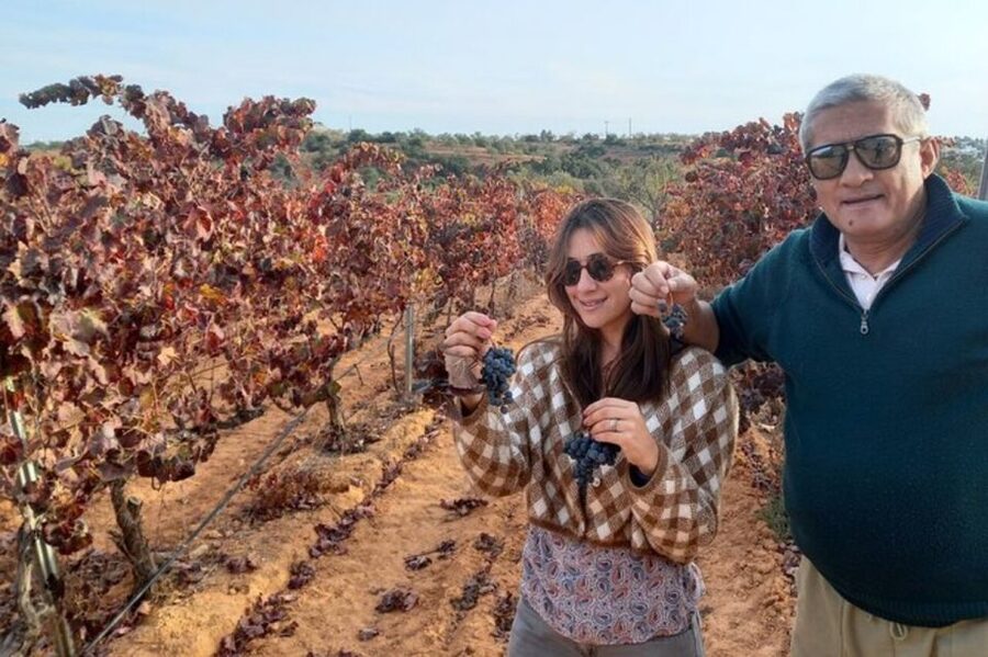 Albufeira/Vilamoura: Winery Tour with Wine Tasting and Tapas - The Quinta visit: walking the vines and hearing the process from the source