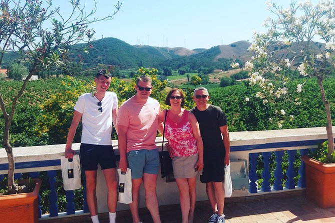 Albufeira Wine Tasting: Boutique Winery Tour & Historic Silves - Getting from Albufeira to the interior without the stress