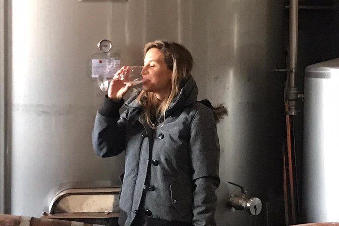 Albufeira Wine Tasting: Boutique Winery Tour & Historic Silves - Small-group reality: great for questions, but watch the terrace timing