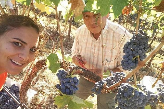 Albufeira Wine Tour: 2 Vineyards, 6 Tastings & Historic Silves - Key Things I’d Prioritize on This Tour