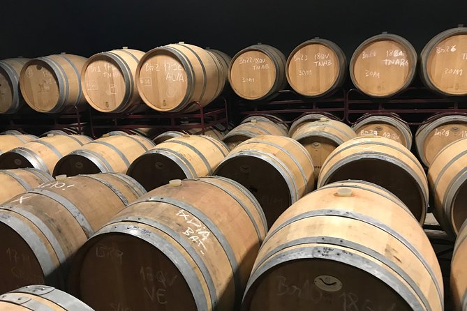 Albufeira Wine Tour: 2 Vineyards, 6 Tastings & Historic Silves - Paxá Wines, Lda.: Negra Mole, Award-Winning Secrets, and a Second Round of Tastings