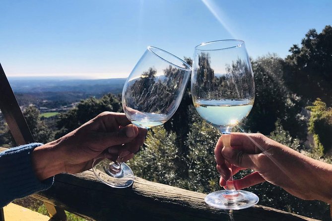 Albufeira Wine Tour: 2 Vineyards, 6 Tastings & Historic Silves - What You’ll Drink: Six Wines, Snacks, and How to Pace Yourself