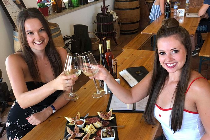Albufeira Wine Tour: 2 Vineyards, 6 Tastings & Historic Silves - The Real Value of $108.84: Where the Money Goes and What to Expect
