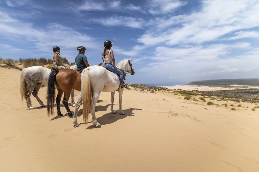 Algarve: 1-Hour Carrapateira Horseback Riding Tour - Entering The Algarve from Carrapateira, one hour at a time
