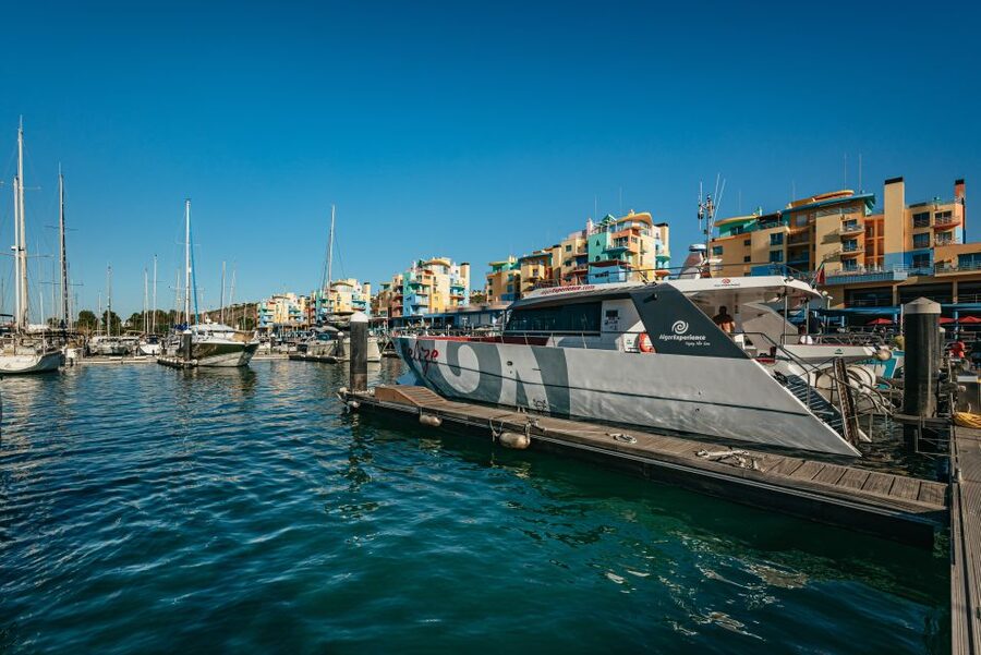 Algarve 3-Hour Caves and Coastline Boat Trip - Onboard comfort: WiFi, bar, and the top-deck choice