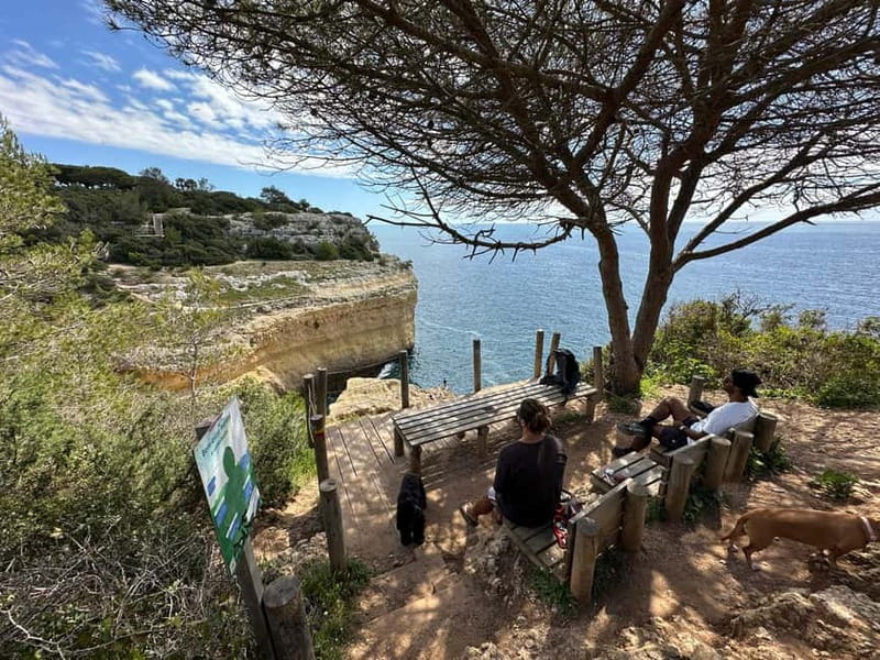 Algarve: 7 Seven Hanging Valley Hike Tour- Photos & Transfer - From Vale de Centeanes to Praia da Marinha, the point of the walk