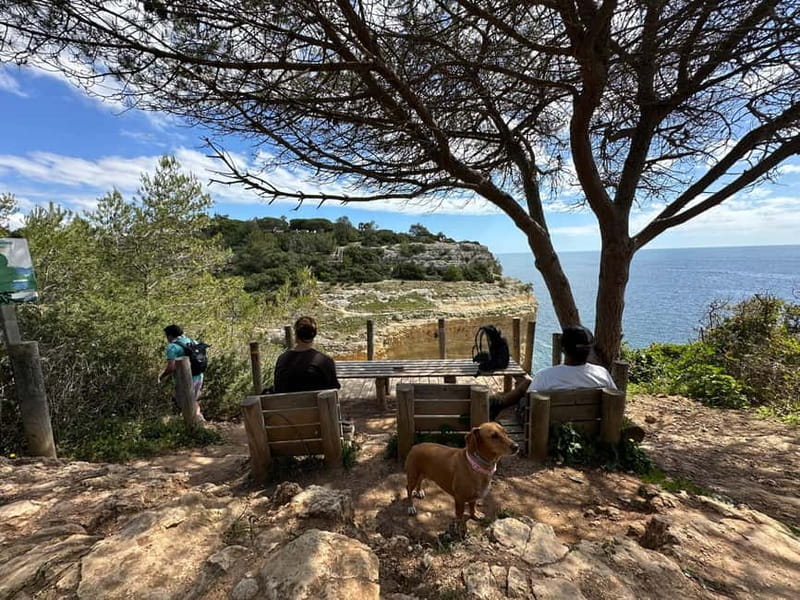 Algarve: 7 Seven Hanging Valley Hike Tour- Photos & Transfer - The 4K photo setup, why it’s genuinely useful