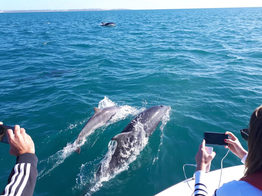 Algarve: Boat Trip to the Caves of Benagil - Why Benagil feels special on a small-boat cave route