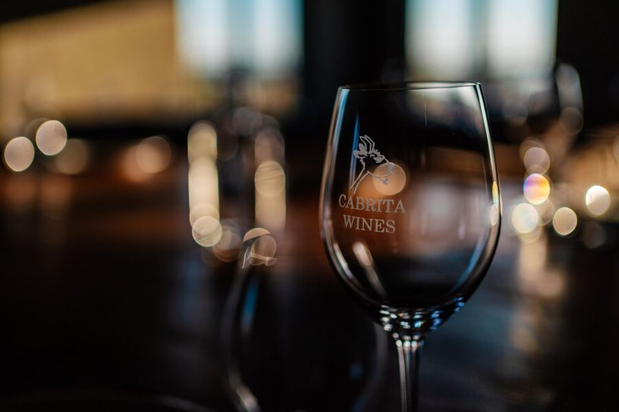 Algarve: Classic Wine Tour & Tasting in Silves - The 1.5-hour flow: vineyards to barrel cellar to tasting