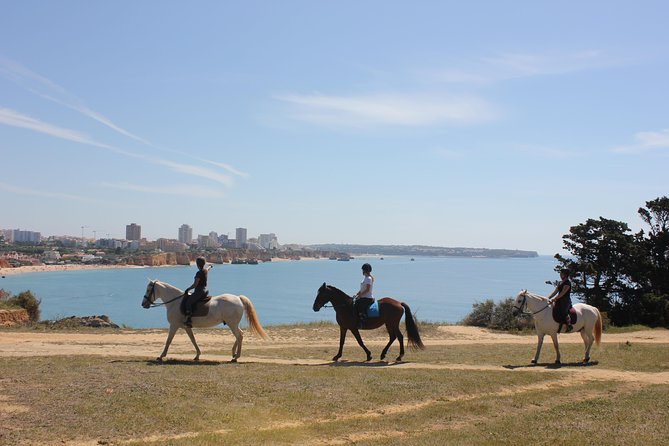 Algarve - Exclusive horseriding in Portimao (no experience required) - Key things to know before you ride