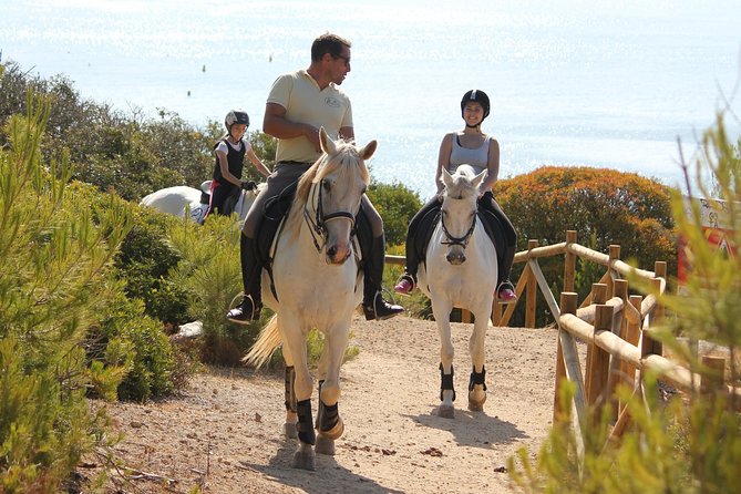 Algarve - Exclusive horseriding in Portimao (no experience required) - The one-hour route: from pine shade to ocean viewpoints