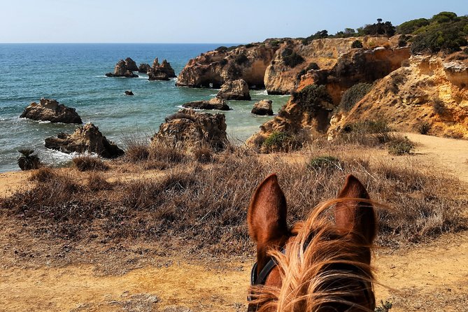 Algarve - Exclusive horseriding in Portimao (no experience required) - Small group energy: why max 7 riders matters