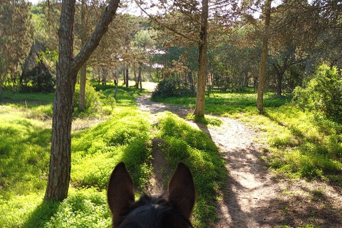 Algarve - Exclusive horseriding in Portimao (no experience required) - Weather and comfort: how to set yourself up for a smooth ride