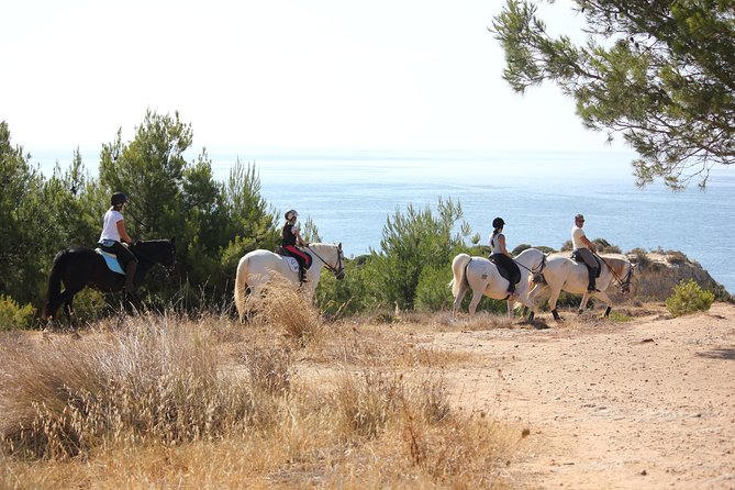 Algarve - Exclusive horseriding in Portimao (no experience required) - Who should book this Algarve horse ride, and who might not
