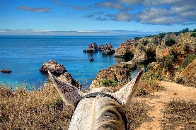 Algarve - Exclusive horseriding in Portimao (no experience required) - What “no experience required” really means in real life