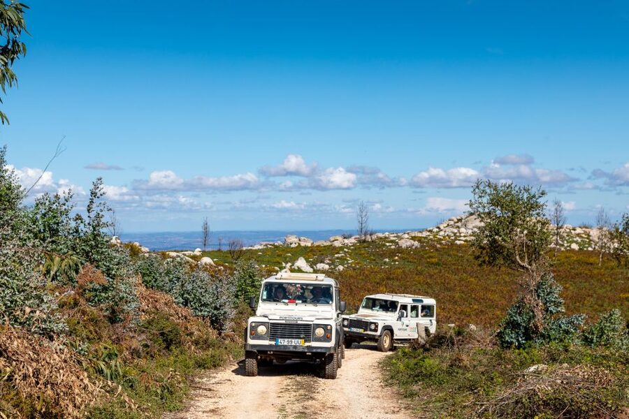 Algarve: Full-Day Guided Sightseeing Tour with Lunch - Silves to Monchique, A Route That Mixes Old Walls and Open Air