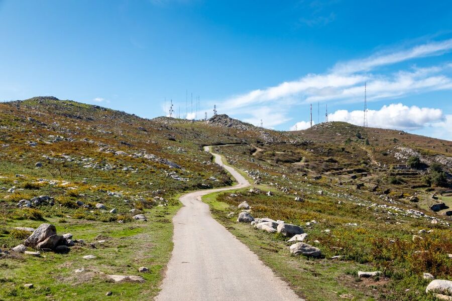 Algarve: Full-Day Guided Sightseeing Tour with Lunch - Price and Value, Is $116 Worth It?