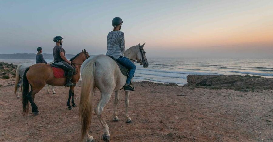 Algarve: Horse Riding Beach Tour at Sunset or Morning - Key things you will notice on this Algarve horse riding beach tour