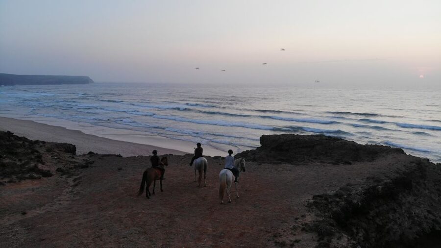 Algarve: Horse Riding Beach Tour at Sunset or Morning - The big moment: walking the beach beside the Atlantic