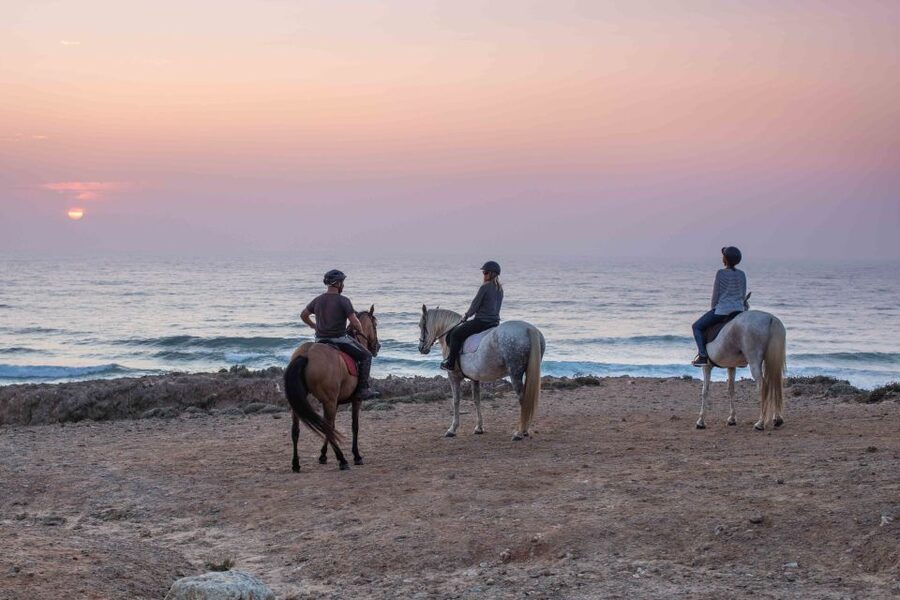Algarve: Horse Riding Beach Tour at Sunset or Morning - Trot, canter, and gallop: how your guide controls the speed
