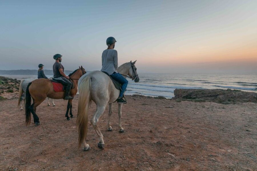 Algarve: Horse Riding Beach Tour at Sunset or Morning - The pine forest section: your calm warm-up before the coast