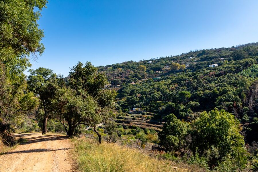 Algarve: Jeep Safari with Distillery Visit & Lunch - Practical gear, rules of the jeep, and comfort tips