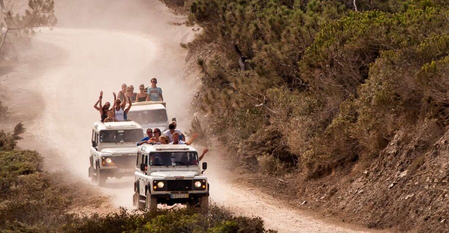 Algarve: Jeep Safari with Distillery Visit & Lunch - What you really learn at the medronho distillery and honey stop