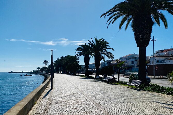 Algarve: Lagos sightseeing guided tour with E-bikes - E-bikes, helmets, and Frederico’s safety rhythm