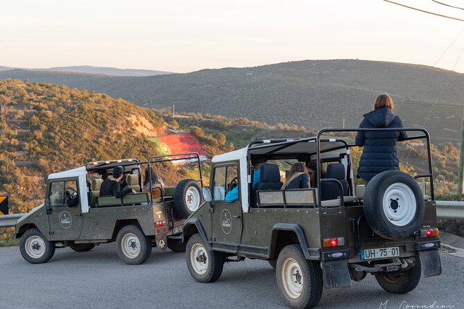 Algarve Safari - Full Day Tour from Albufeira w / lunch - Why This Algarve Safari Feels Like More Than a Checklist