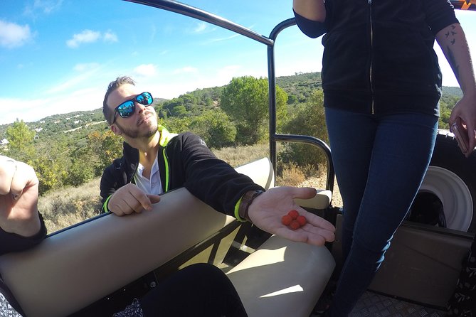 Algarve Safari - Full Day Tour from Albufeira w / lunch - Stop 4: Fonte Grande, Water Springs and That Fresh Break From the Road