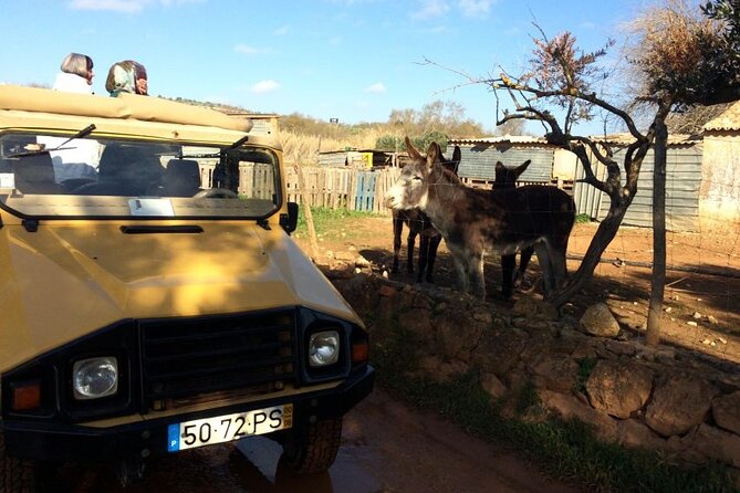 Algarve Sunset Experience - Half Day Jeep Safari Trip - Sao Bartolomeu de Messines: The Highest Point and Sunset Payoff