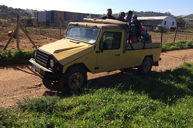Algarve Sunset Experience - Half Day Jeep Safari Trip - The Jeep Ride Experience: Fun, Scenic, and Not Overly Long