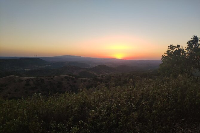 Algarve Sunset Safari Tour from Albufeira - Jeep comfort, what to expect with bumpy roads, and family fit