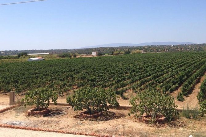 Algarve wine tour and mountain top trip with lunch or dinner at sunset time - Price and value: why $166.69 can feel fair when meals and tastings are included