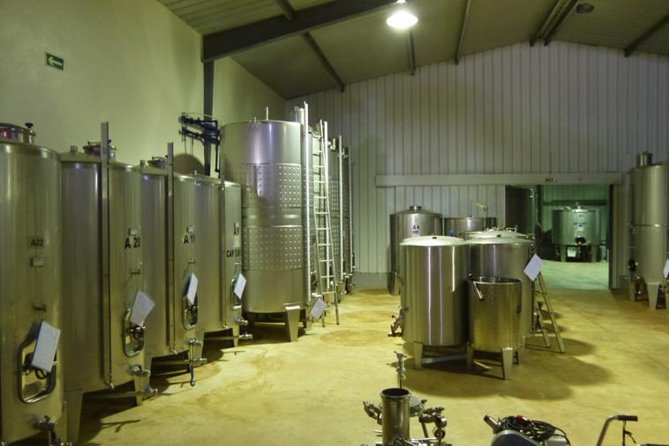 Algarve Wine Tour of Two Wine Estates - Pickup in Portimão and a Schedule That Does Not Drag