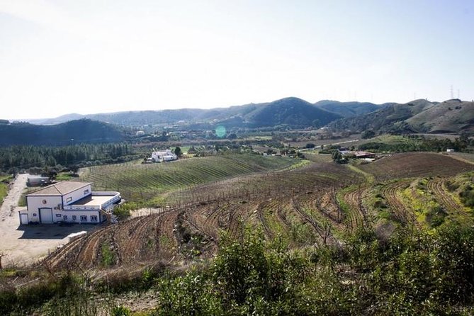 Algarve Wine Tour of Two Wine Estates - Price and Logistics: What You Actually Get for $93.04