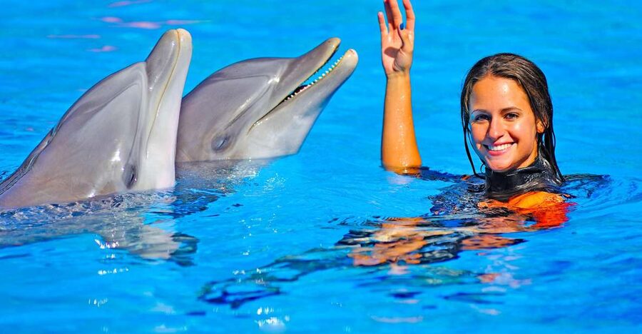 Algarve: Zoomarine Amusement Park Entry Ticket - Aquarium time: 20+ ecosystems that make marine life easier for kids