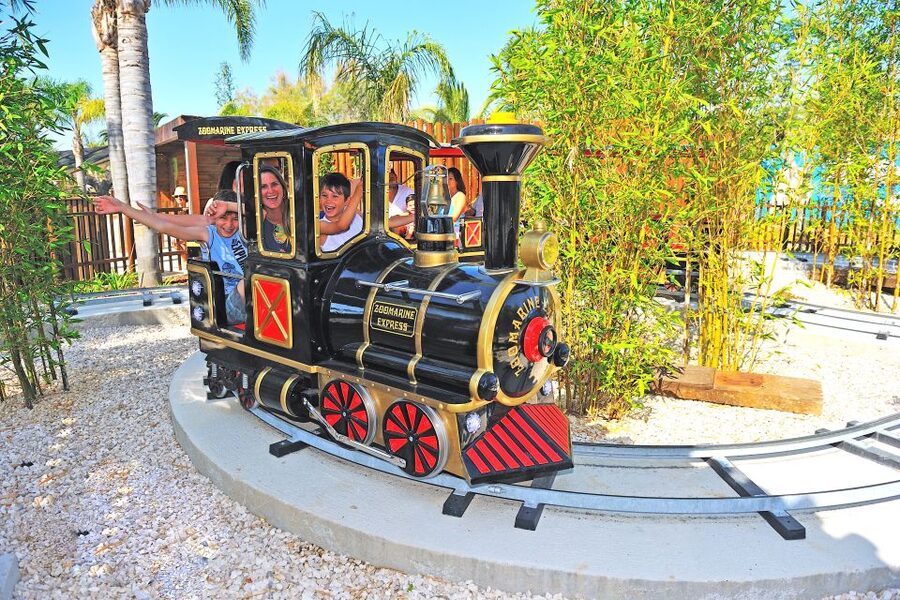 Algarve: Zoomarine Amusement Park Entry Ticket - Arriving at the main entrance and building a smart game plan