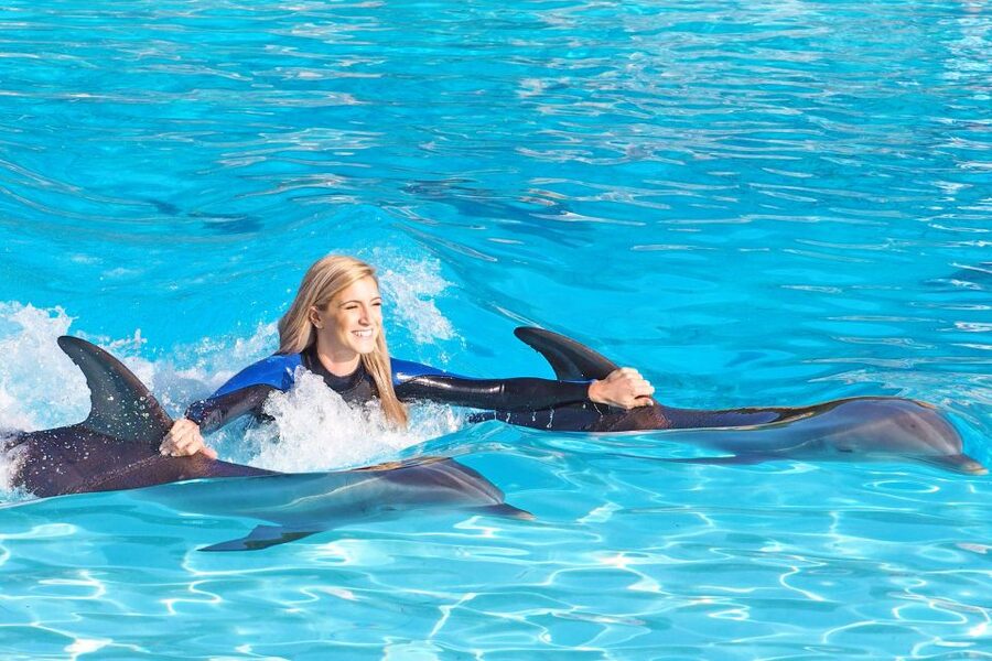 Algarve Zoomarine Ticket and Dolphin Emotions Experience - Key highlights at a glance