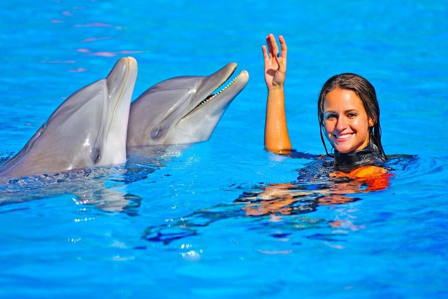 Algarve Zoomarine Ticket and Dolphin Emotions Experience - Tips to make your session smoother (and less stressful)