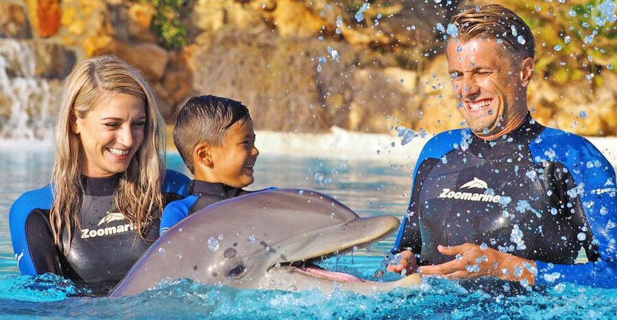 Algarve Zoomarine Ticket and Dolphin Emotions Experience - Algarve Zoomarine Dolphin Emotions: what you’re really paying for