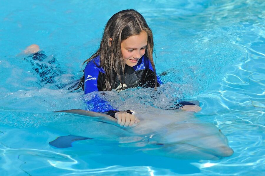 Algarve Zoomarine Ticket and Dolphin Emotions Experience - The educator talk before the lagoon: why it matters more than you think