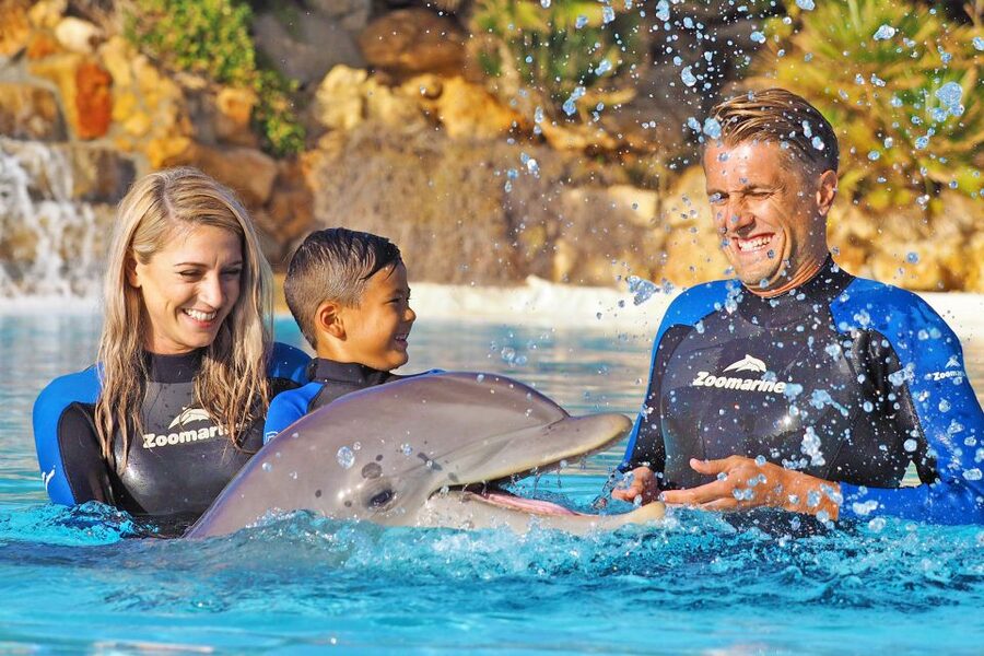 Algarve Zoomarine Ticket and Dolphin Emotions Experience - Entering the shallow lagoon: what your water time feels like